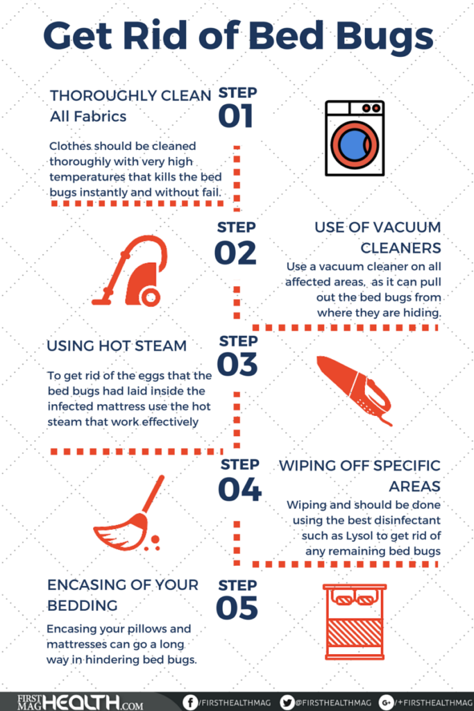 How To Kill Bed Bugs Permanently