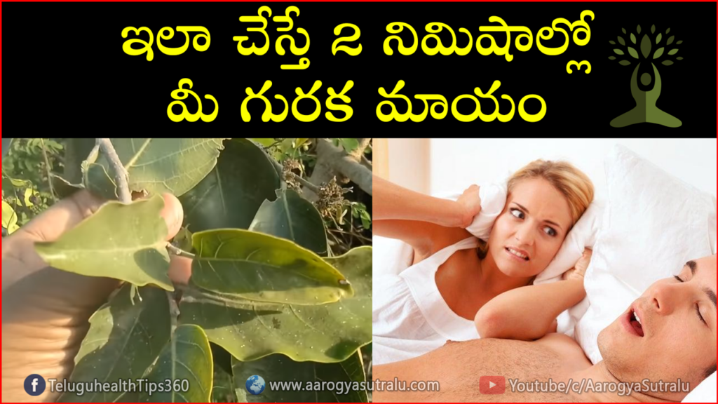 How To Stop Snoring Naturally And Permanently In Telugu